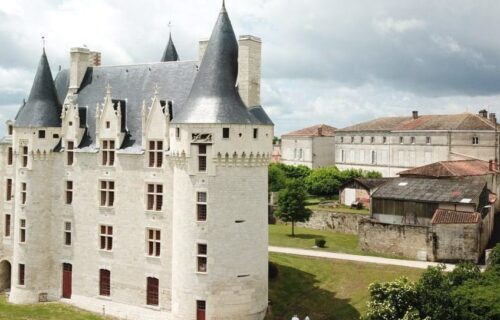 château-de-neuvicq-le-château