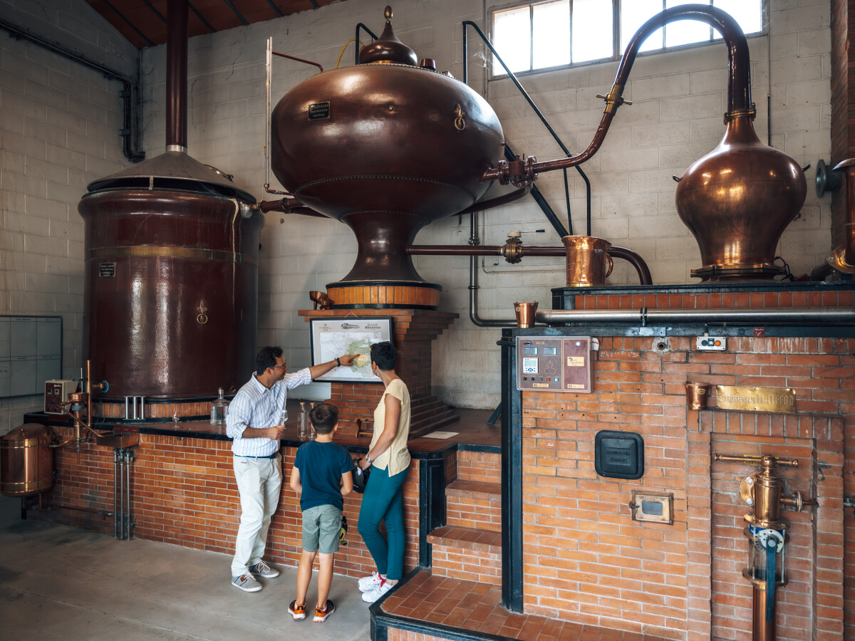 Maison Braastad Cognac à Jarnac